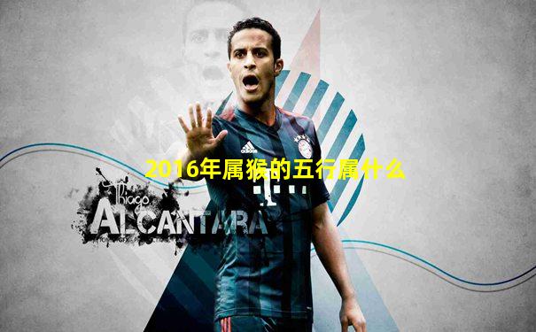 2016年属猴的五行属什么