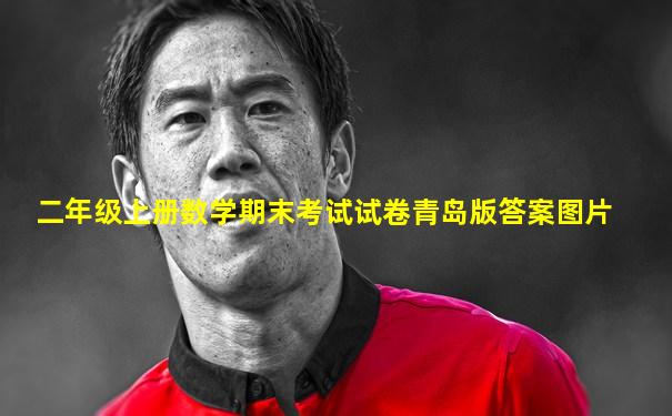 二年级上册数学期末考试试卷青岛版答案图片