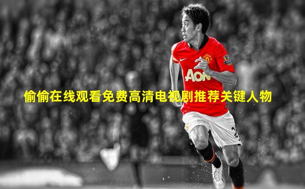 偷偷在线观看免费高清电视剧推荐关键人物