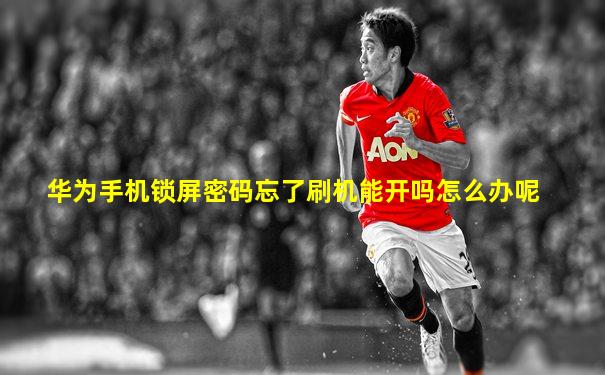 华为手机锁屏密码忘了刷机能开吗怎么办呢