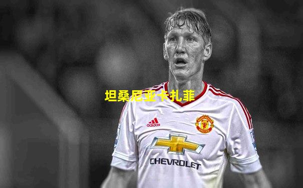 坦桑尼亚卡扎菲