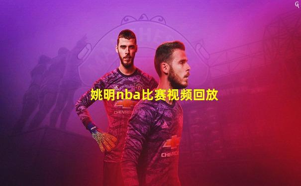 姚明nba比赛视频回放