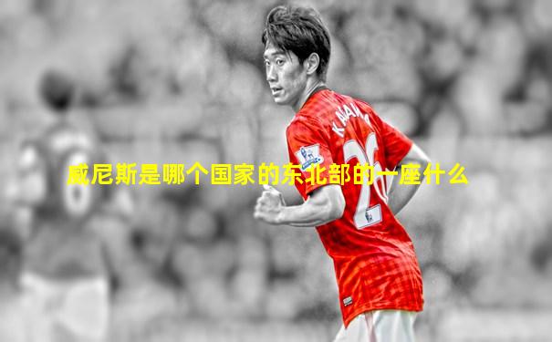 威尼斯是哪个国家的东北部的一座什么