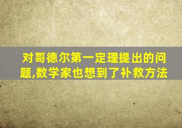 对哥德尔第一定理提出的问题,数学家也想到了补救方法
