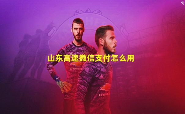山东高速微信支付怎么用