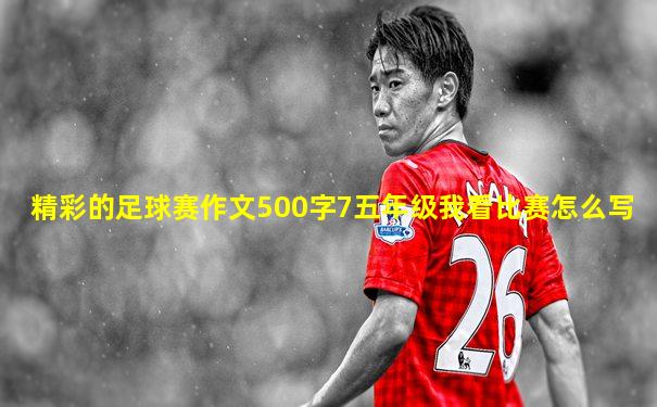精彩的足球赛作文500字7五年级我看比赛怎么写