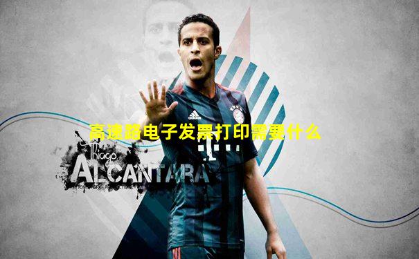 高速路电子发票打印需要什么