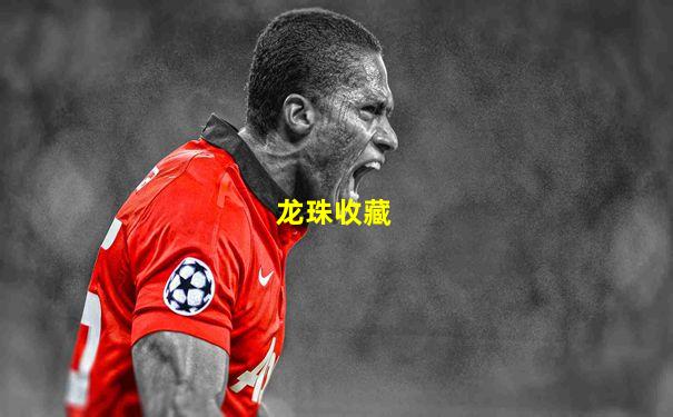 龙珠收藏